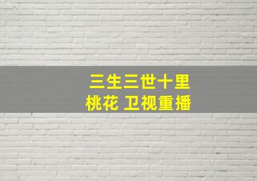 三生三世十里桃花 卫视重播